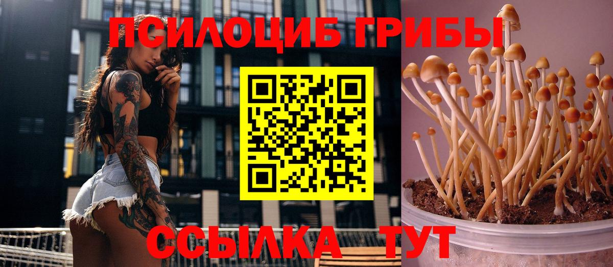Псилоцибиновые грибы прущие грибы  Вход с VPN  Выкса 